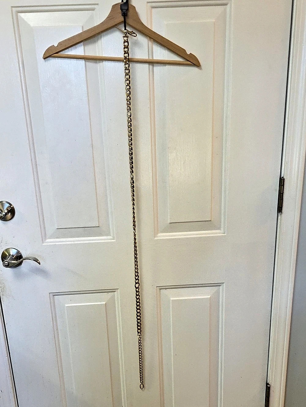 Gold-Tone Belt